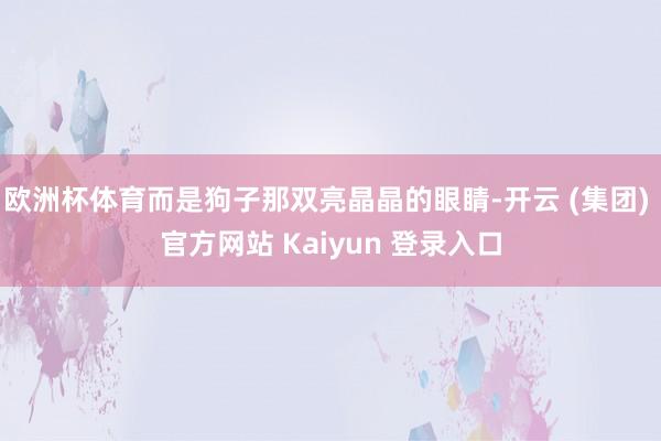欧洲杯体育而是狗子那双亮晶晶的眼睛-开云 (集团) 官方网站 Kaiyun 登录入口