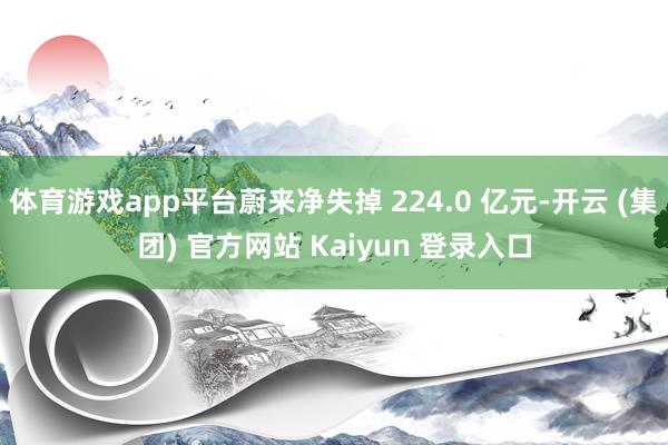 体育游戏app平台蔚来净失掉 224.0 亿元-开云 (集团) 官方网站 Kaiyun 登录入口