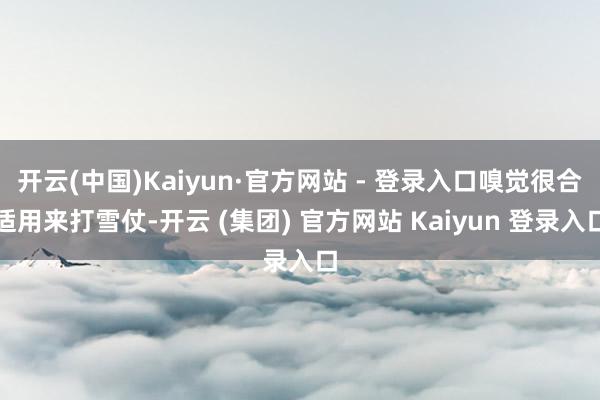 开云(中国)Kaiyun·官方网站 - 登录入口嗅觉很合适用来打雪仗-开云 (集团) 官方网站 Kaiyun 登录入口
