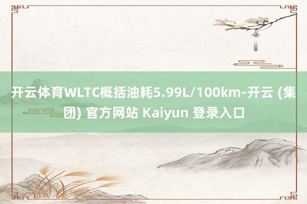 开云体育WLTC概括油耗5.99L/100km-开云 (集团) 官方网站 Kaiyun 登录入口
