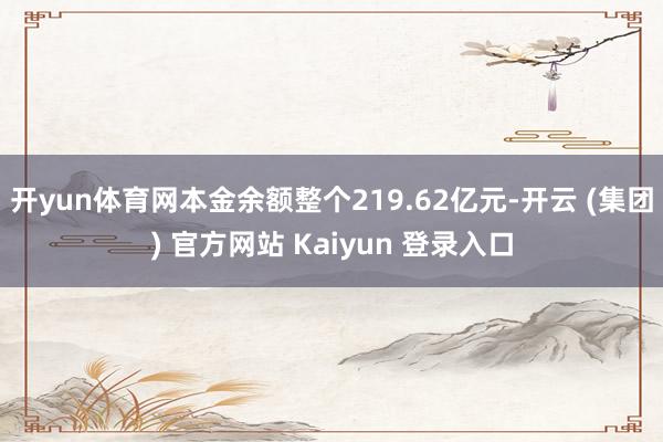 开yun体育网本金余额整个219.62亿元-开云 (集团) 官方网站 Kaiyun 登录入口