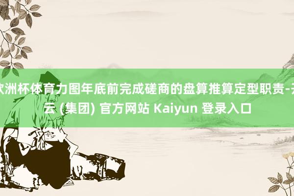 欧洲杯体育力图年底前完成磋商的盘算推算定型职责-开云 (集团) 官方网站 Kaiyun 登录入口