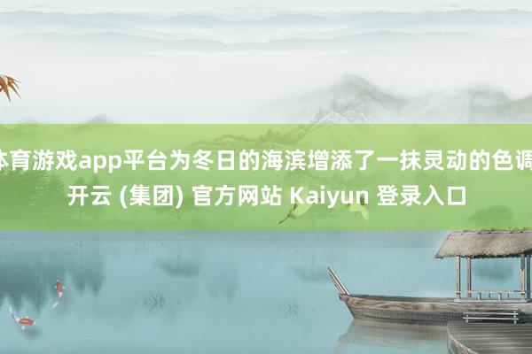 体育游戏app平台为冬日的海滨增添了一抹灵动的色调-开云 (集团) 官方网站 Kaiyun 登录入口