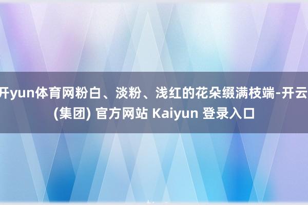 开yun体育网粉白、淡粉、浅红的花朵缀满枝端-开云 (集团) 官方网站 Kaiyun 登录入口